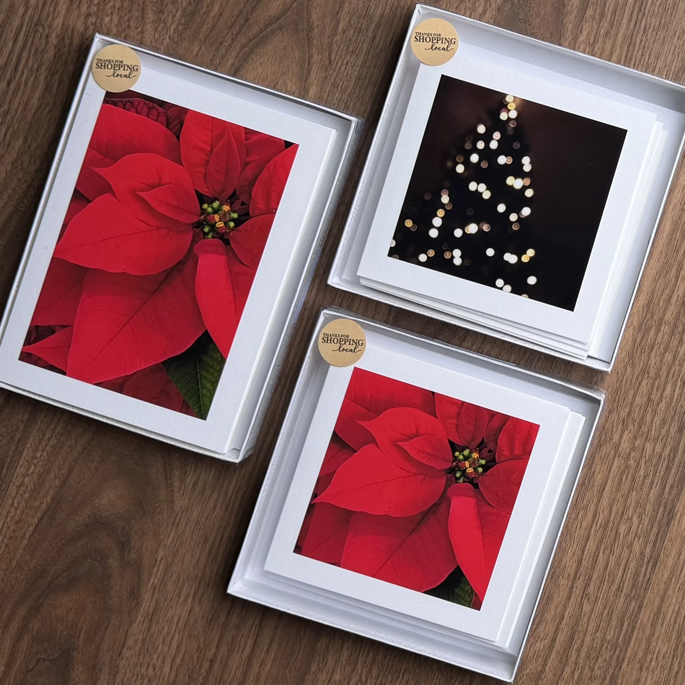 holiday cards (set of 10)