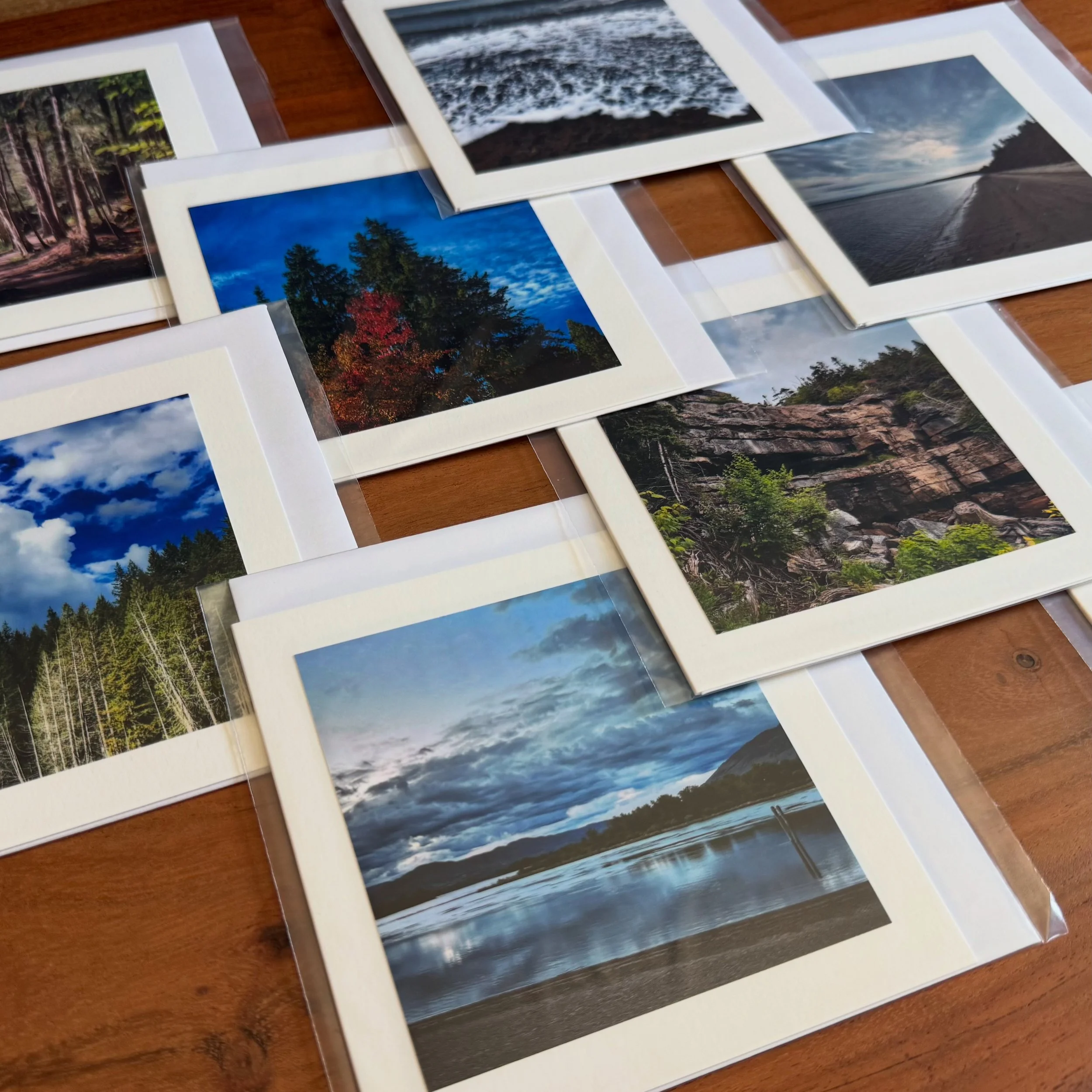 scenic card collection (assorted set of 10)