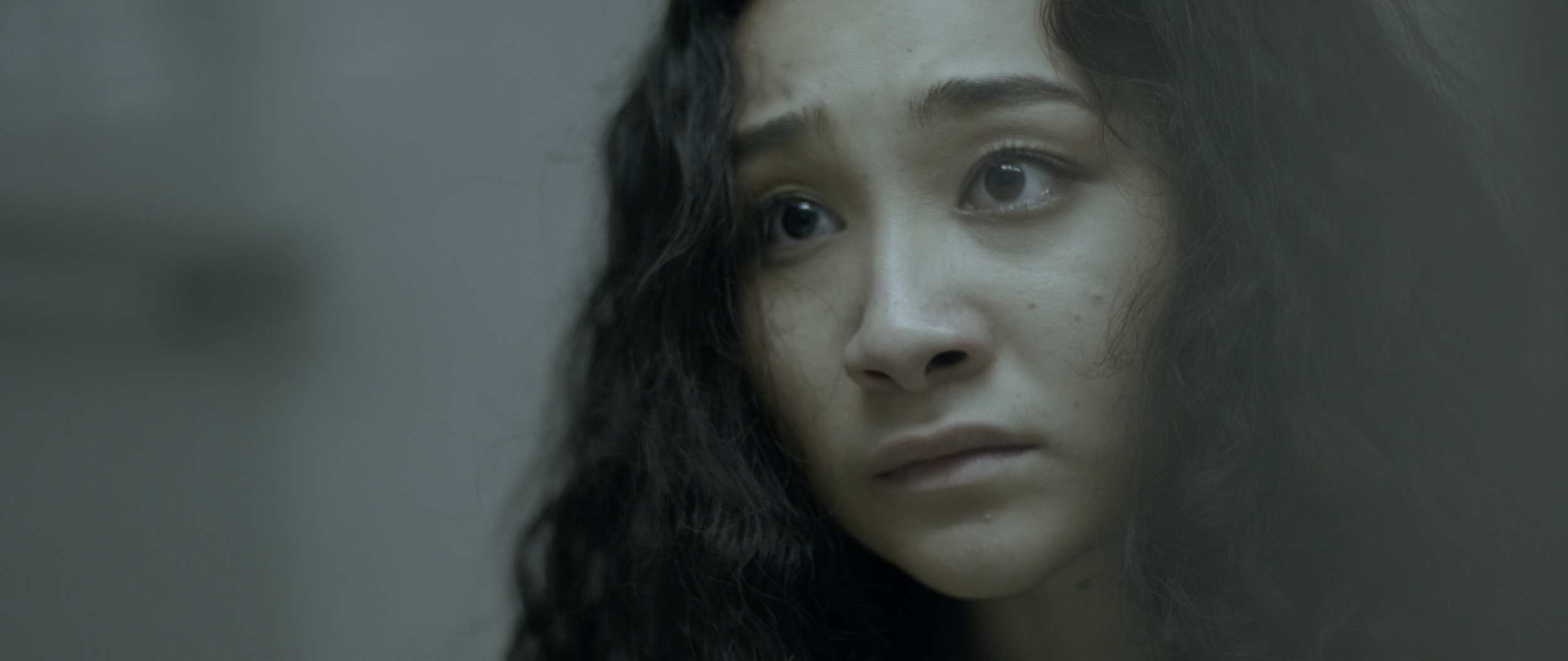 Screenshot 2024-11-21 at 11.42.38 AM.PNG