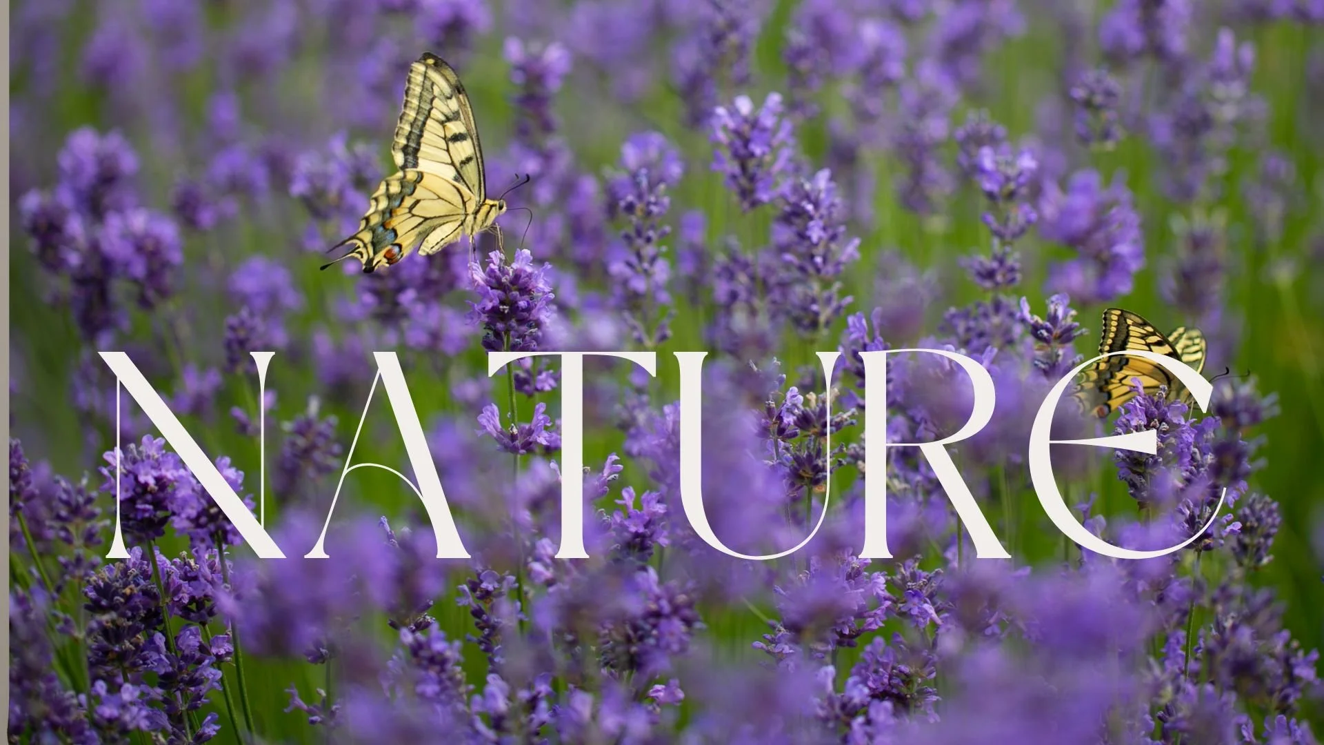 Brown Minimalist Casual Fashion Collection Presentation (4).jpg