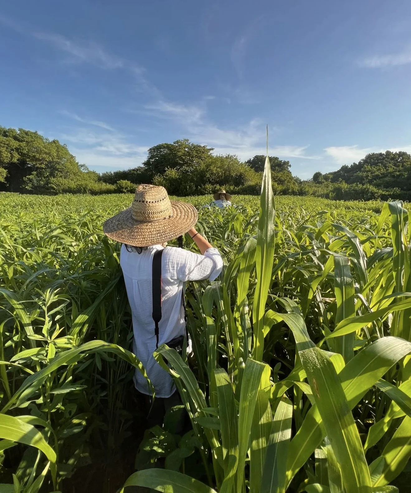 Why Hiring a Hotel Insider as Your Photographer Changes Everything