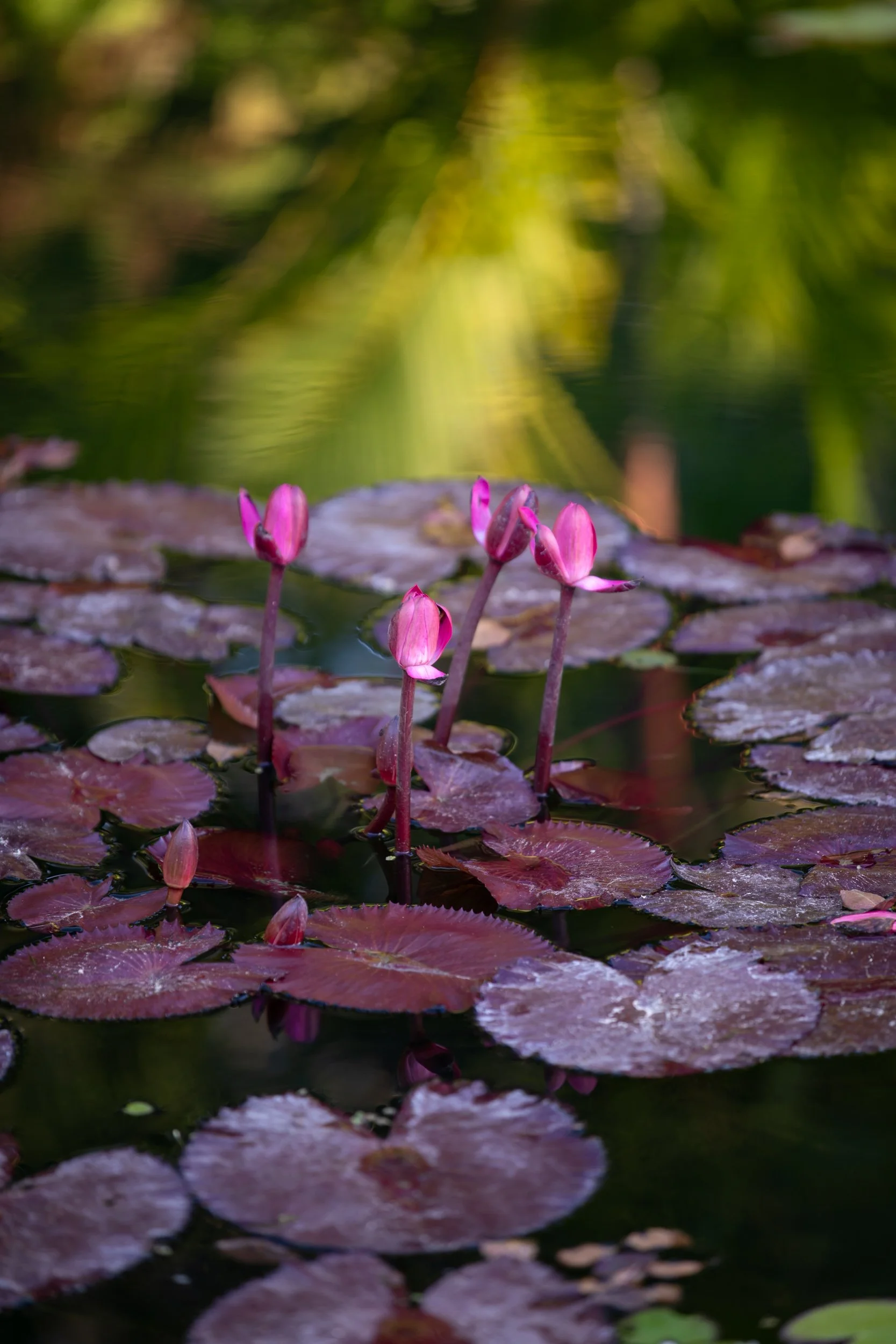 What White Lotus Taught Hotels About Storytelling