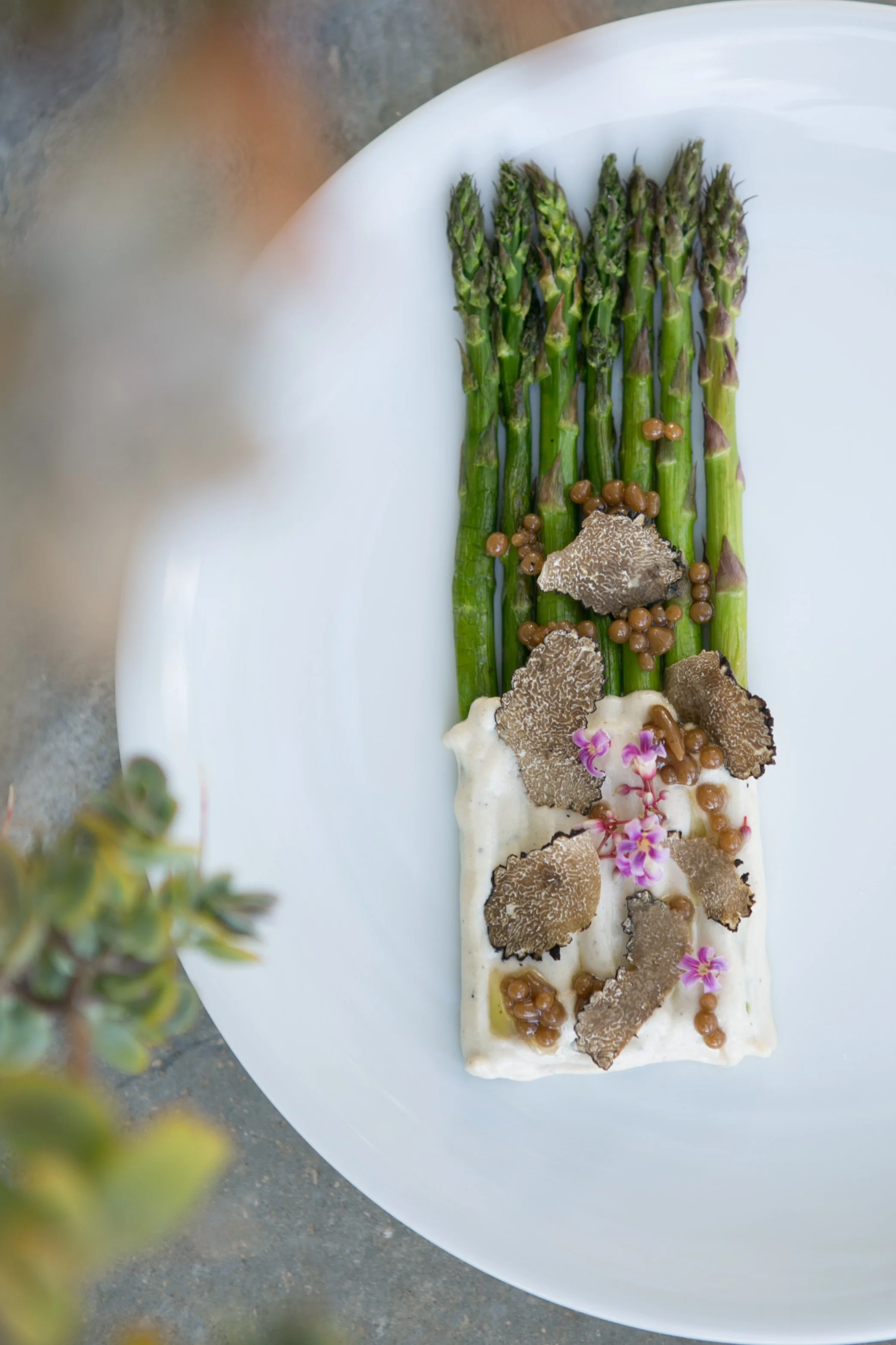 Hospitality Is an Art Form and It Should Be Captured as One