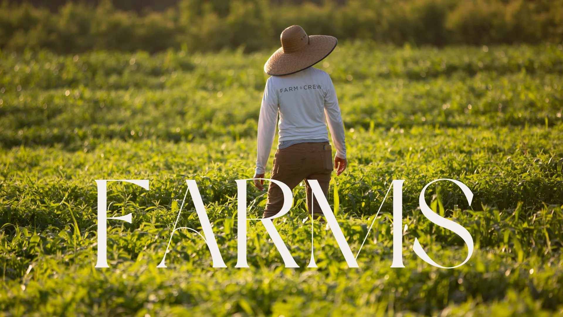 Brown Minimalist Casual Fashion Collection Presentation (9).jpg