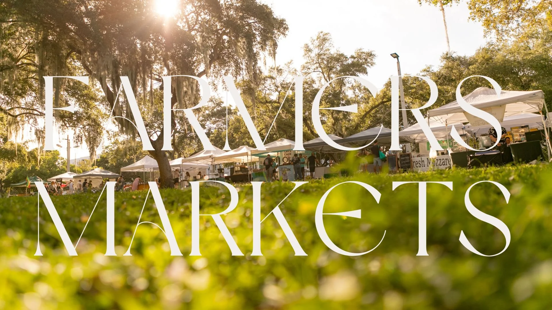 Brown Minimalist Casual Fashion Collection Presentation (7).jpg