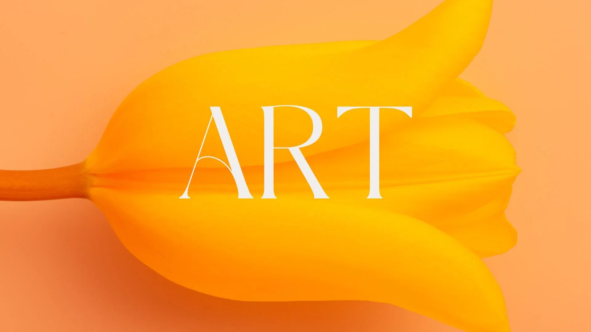 Brown Minimalist Casual Fashion Collection Presentation (5).jpg