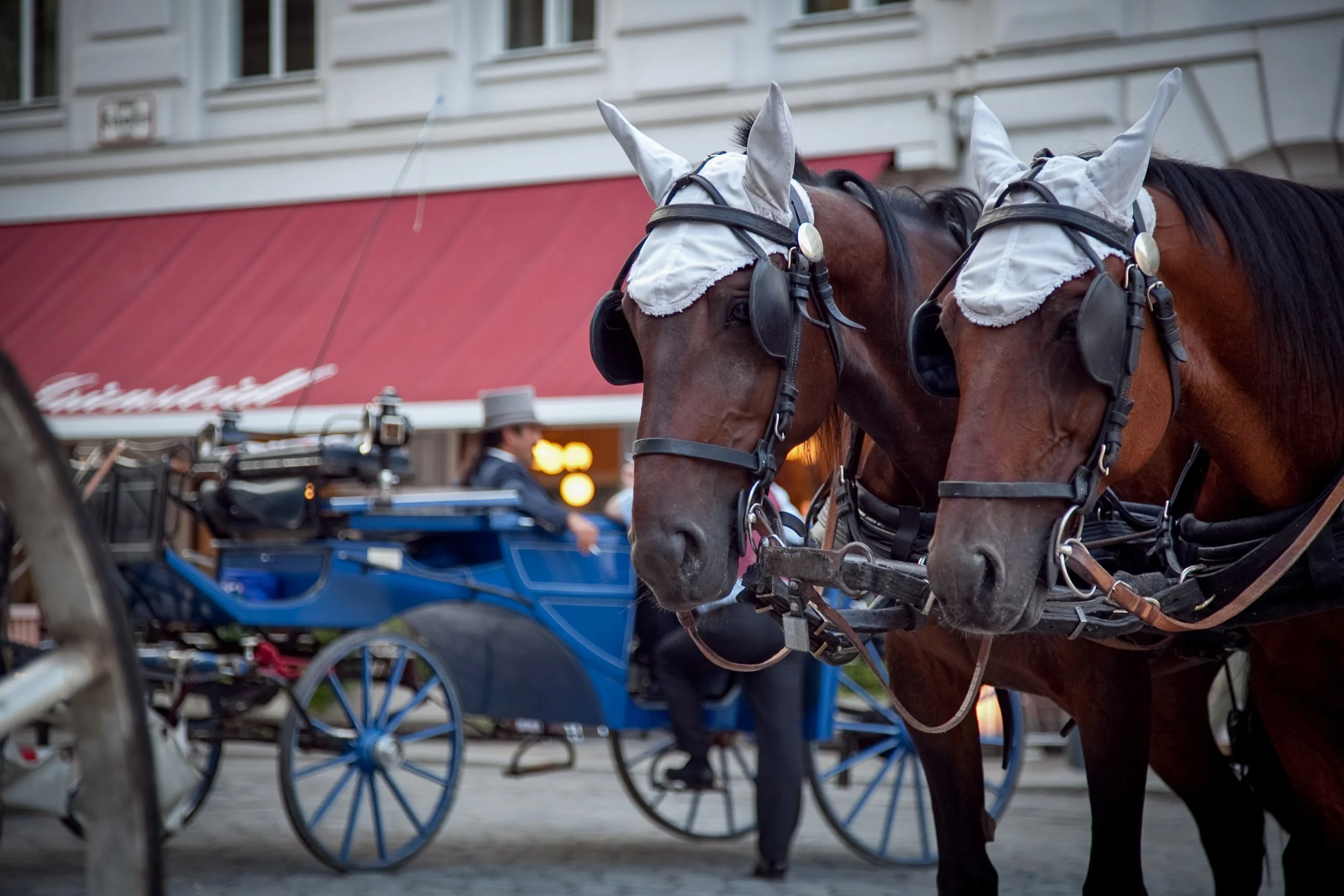 Sense of place is the most powerful visual a luxury hotel can own