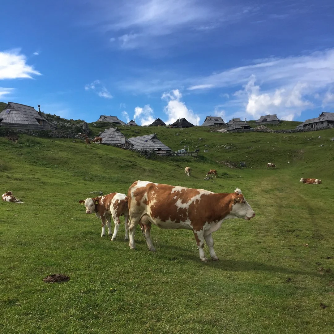 Velika Planina, Slovenia.jpg