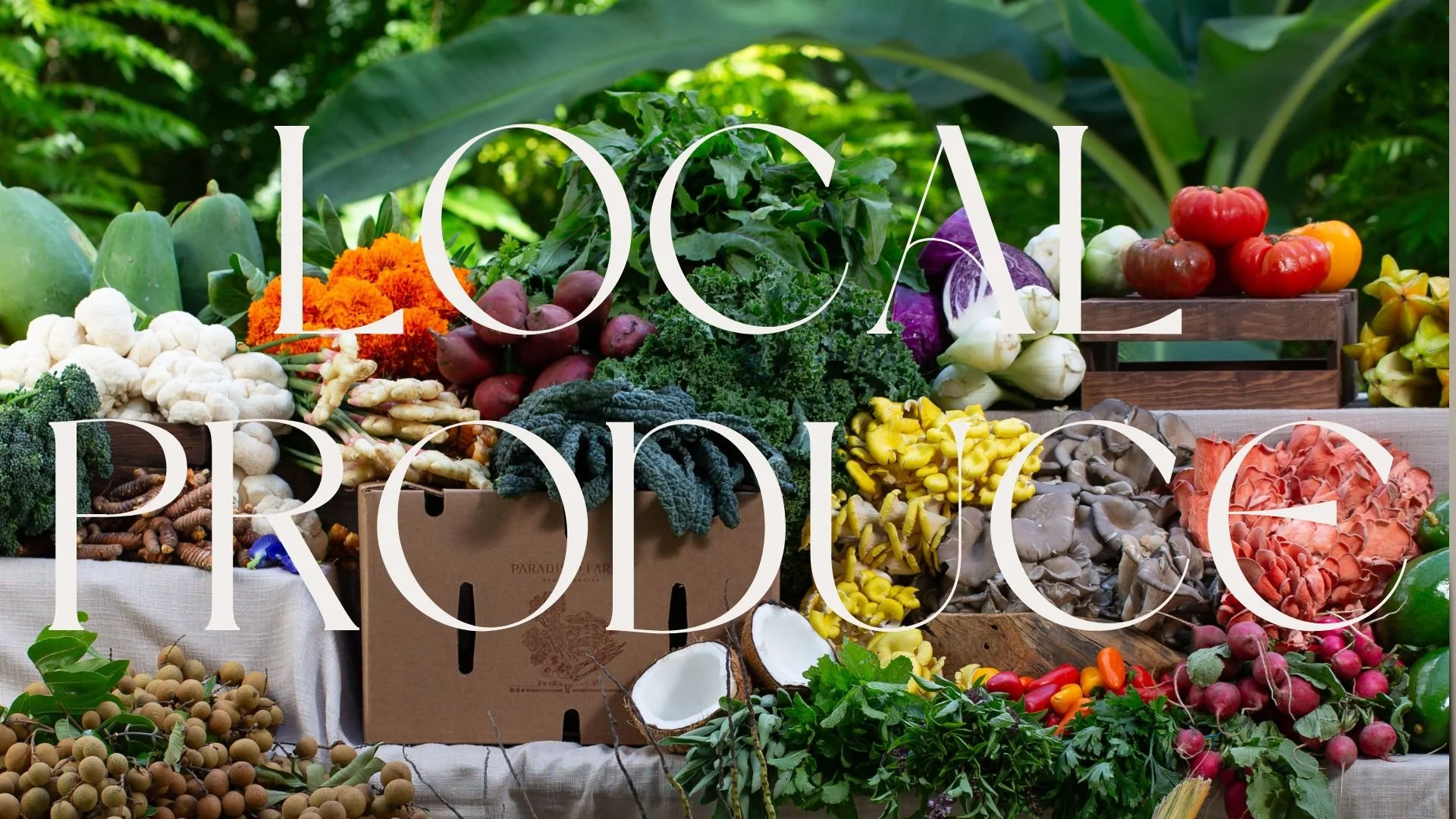 Brown Minimalist Casual Fashion Collection Presentation (10).jpg