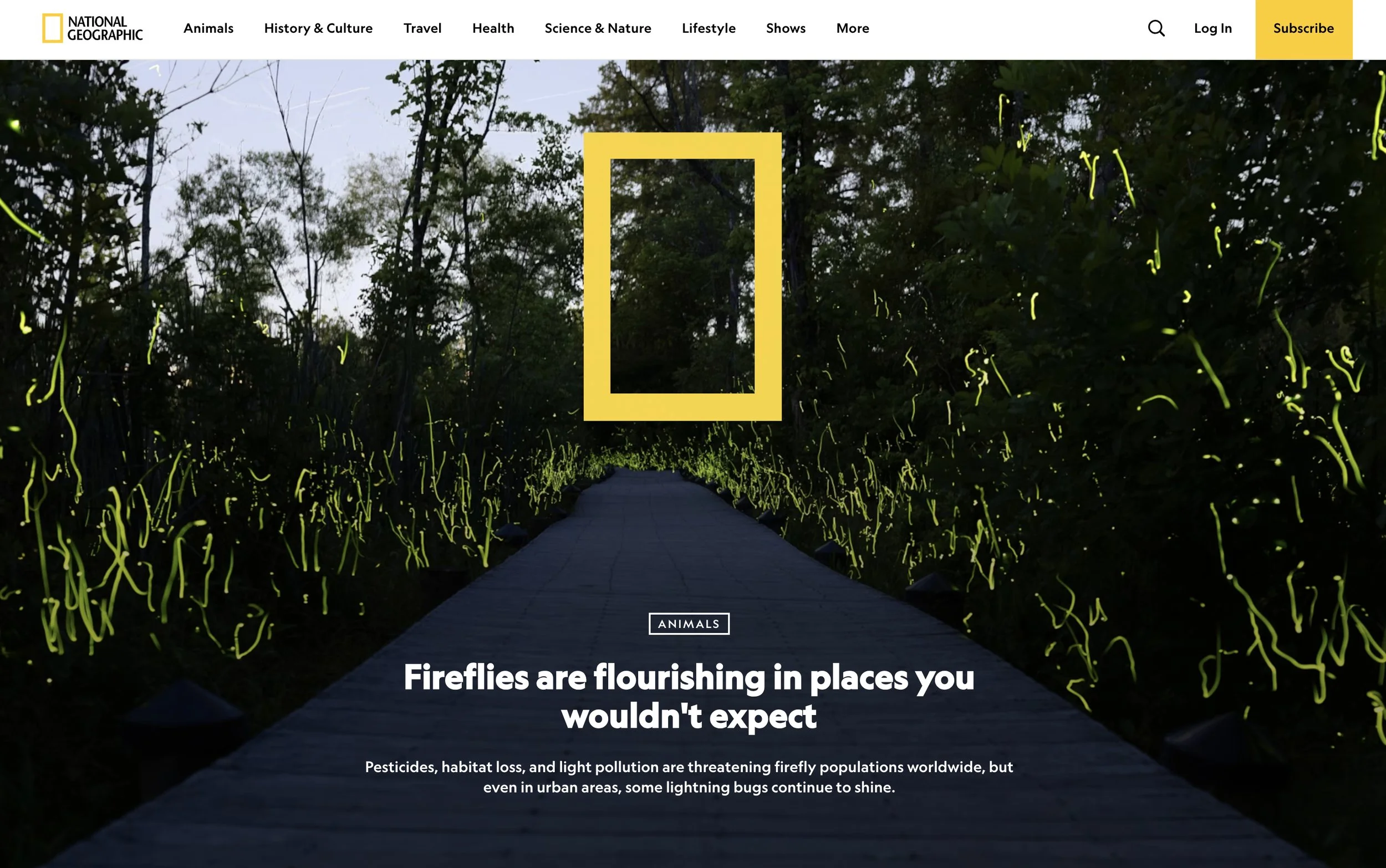 National Geographic: Fireflies Are Flourishing in Places You Wouldn't Expect