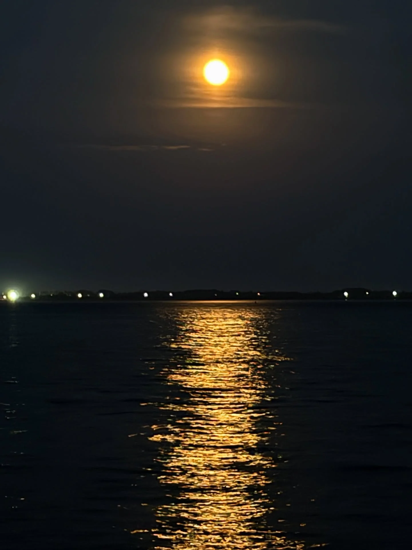 Went on my annual pilgrimage to witness the mating of the Atlantic Horseshoe Crab (Limulus polyphemus) on a Brooklyn beach at high tide under the Strawberry Moon. They&rsquo;ve been emerging from the water to mate on beaches for 250 million years, si