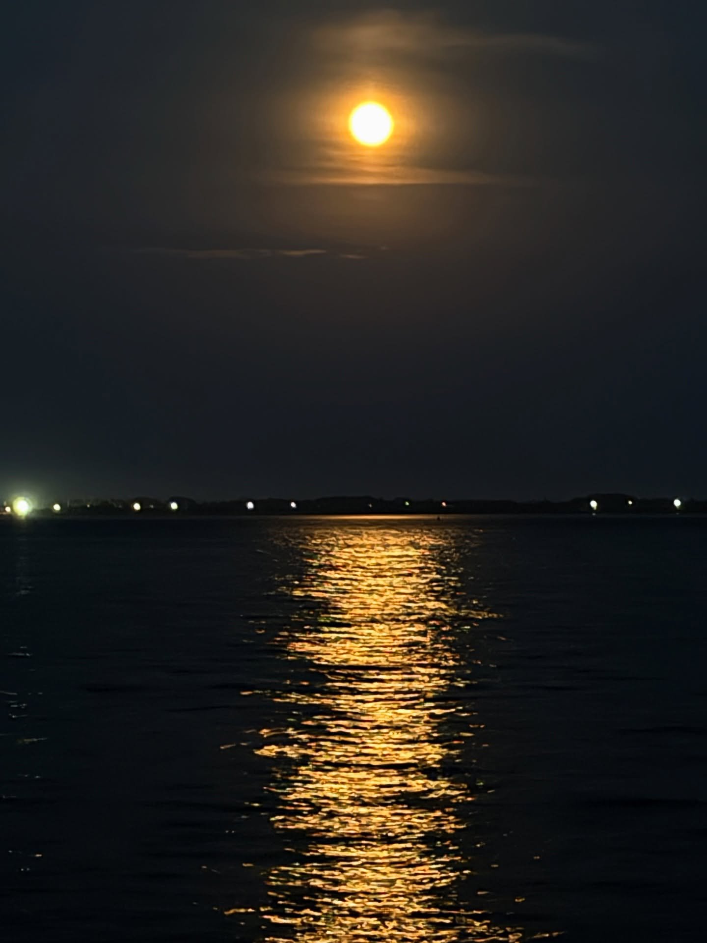 Went on my annual pilgrimage to witness the mating of the Atlantic Horseshoe Crab (Limulus polyphemus) on a Brooklyn beach at high tide under the Strawberry Moon. They&rsquo;ve been emerging from the water to mate on beaches for 250 million years, si