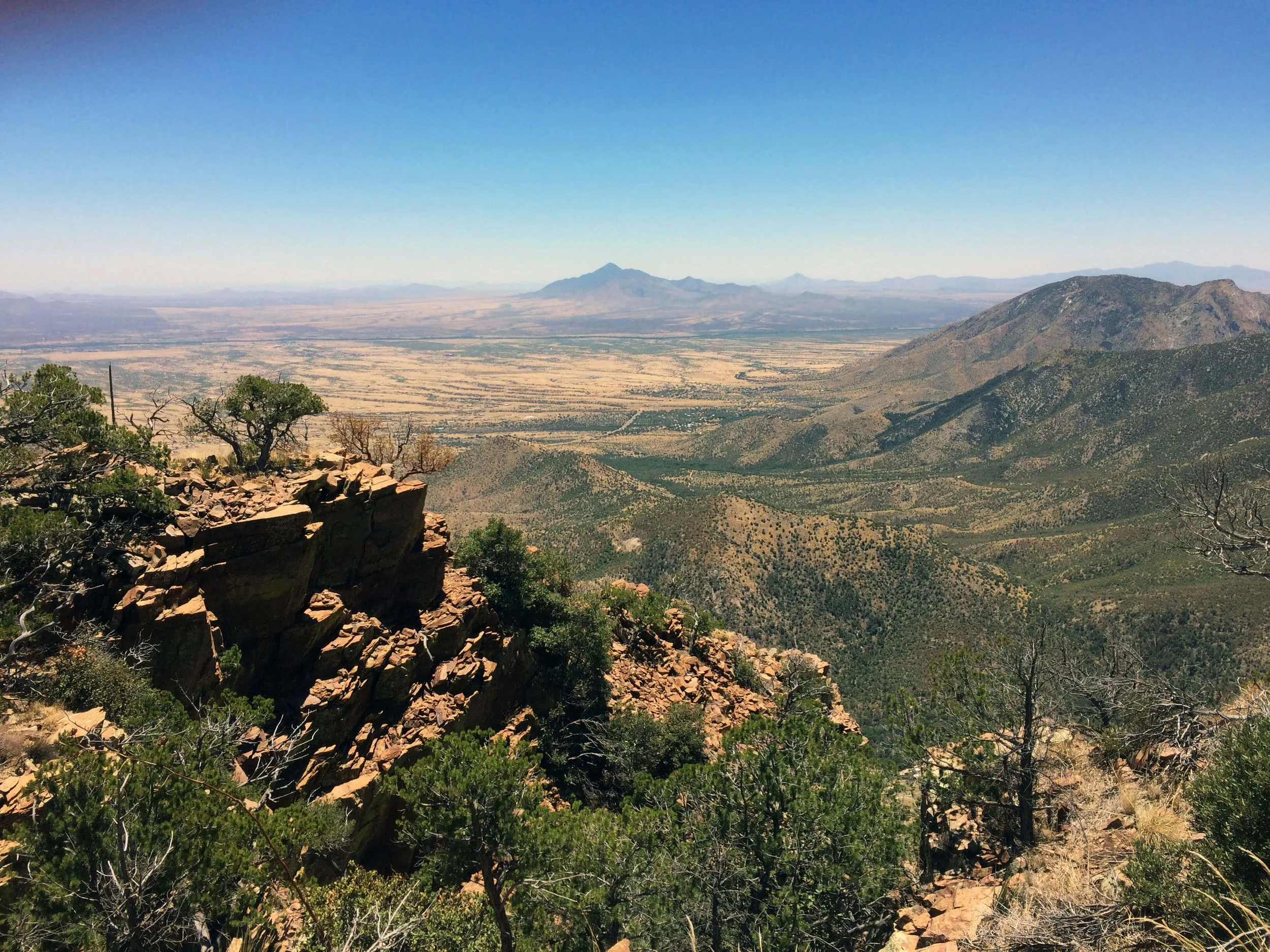 Southeast Arizona Sky Islands: a Summer Birding & Natural History Adventure - July 31-August 8, 2027