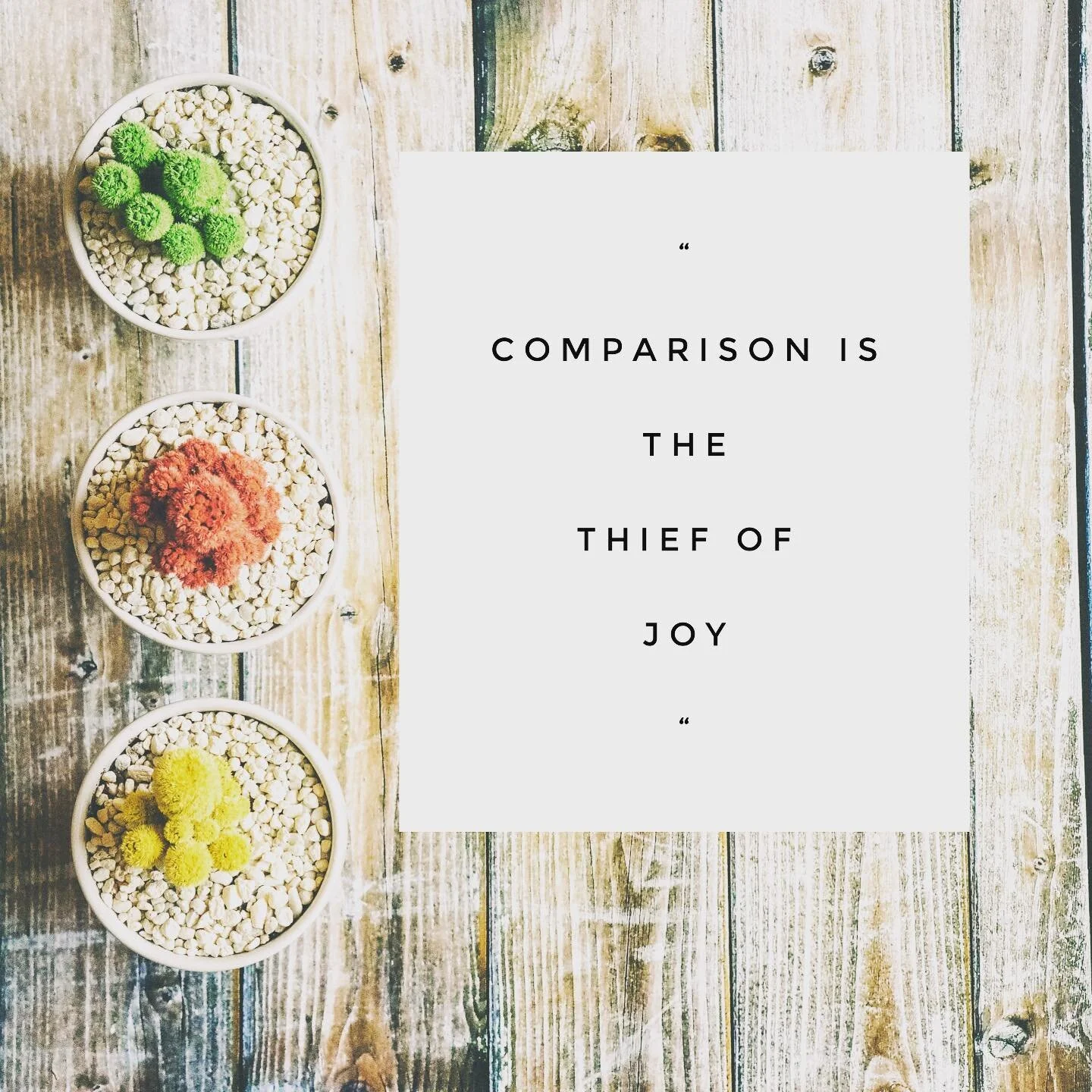 Do you boo ❤️

#youdoyou
#stopworryingaboutwhatothersthink 
#lifeisgood