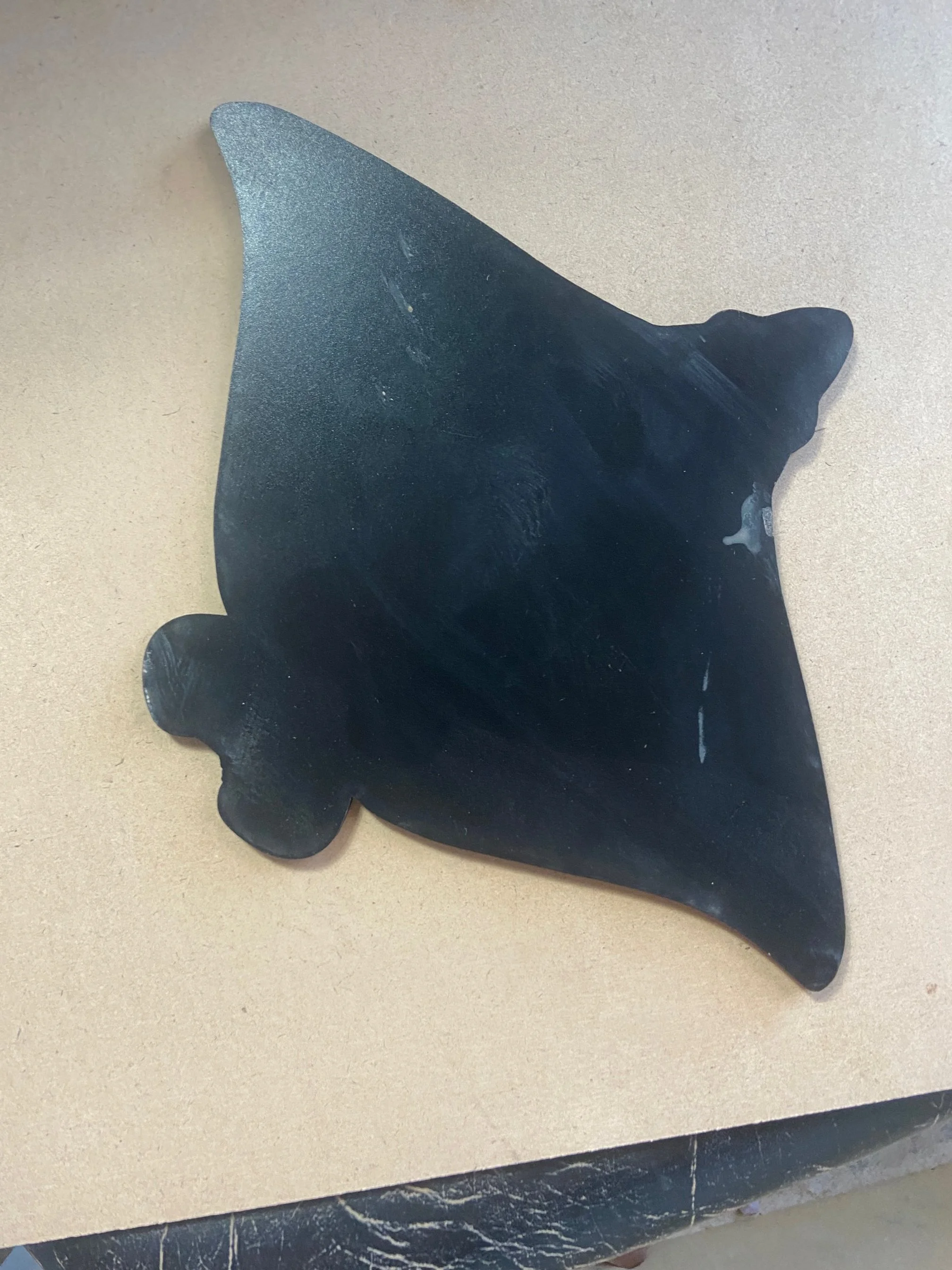 Spotted Eagle Ray Templates