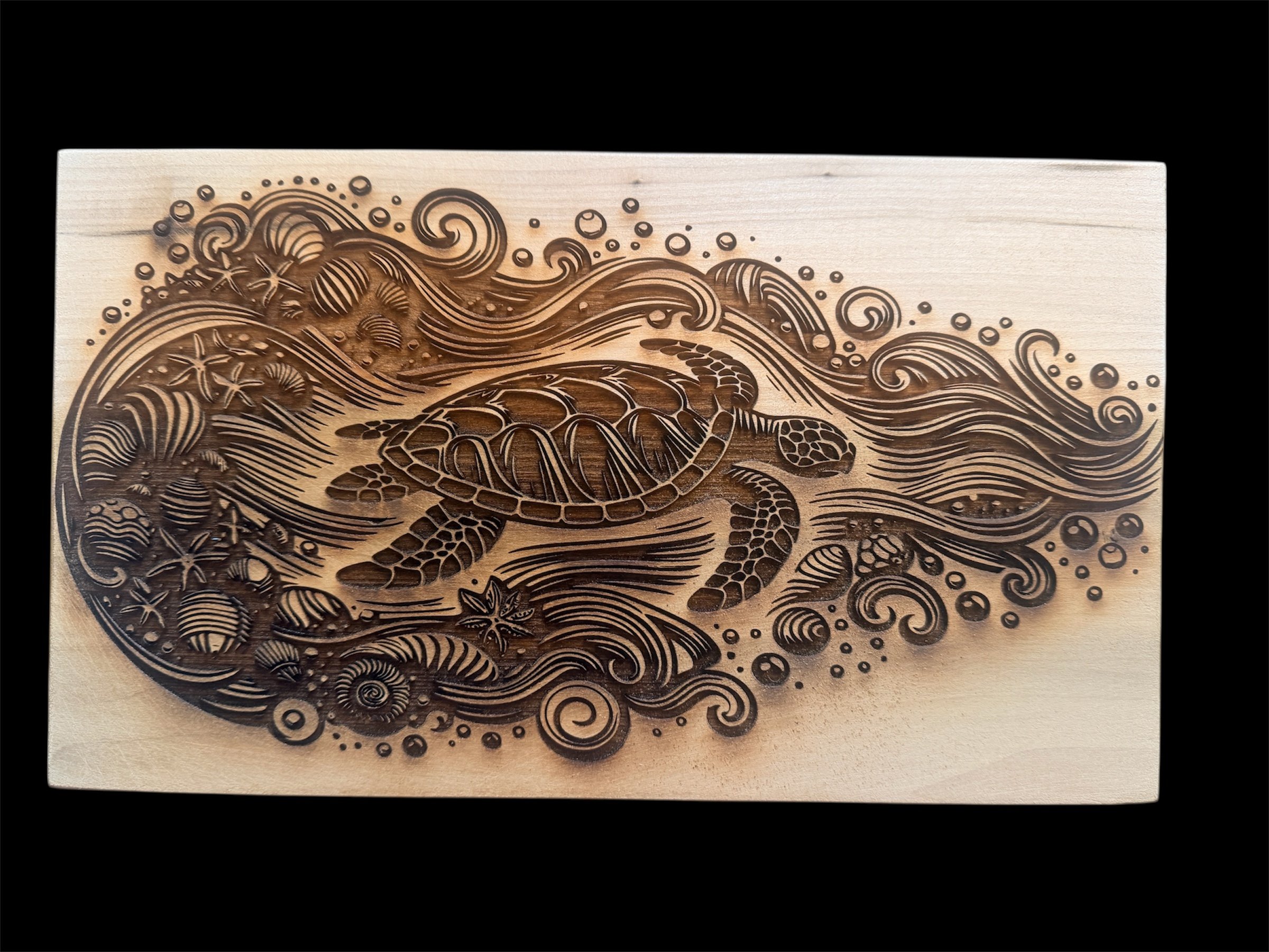 Sea Turtle and shells