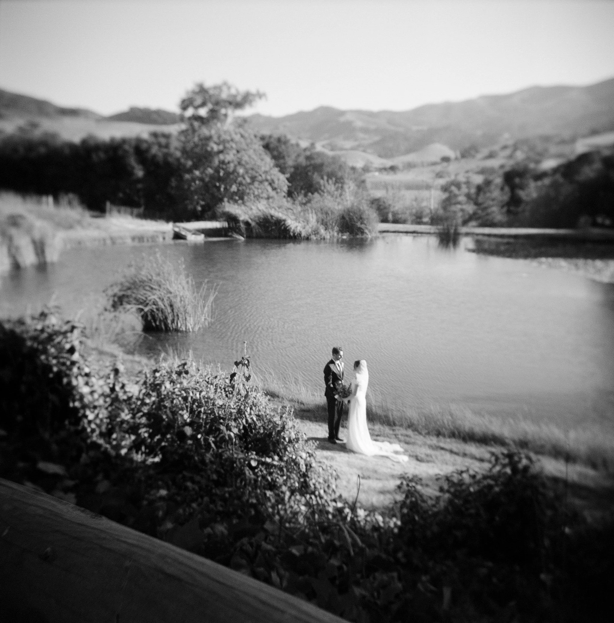 818308_0005.jpg
