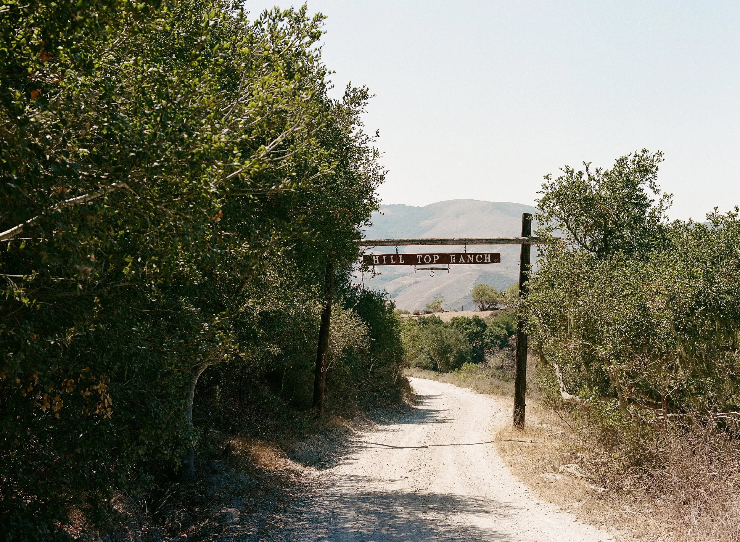 818310_0002.jpg