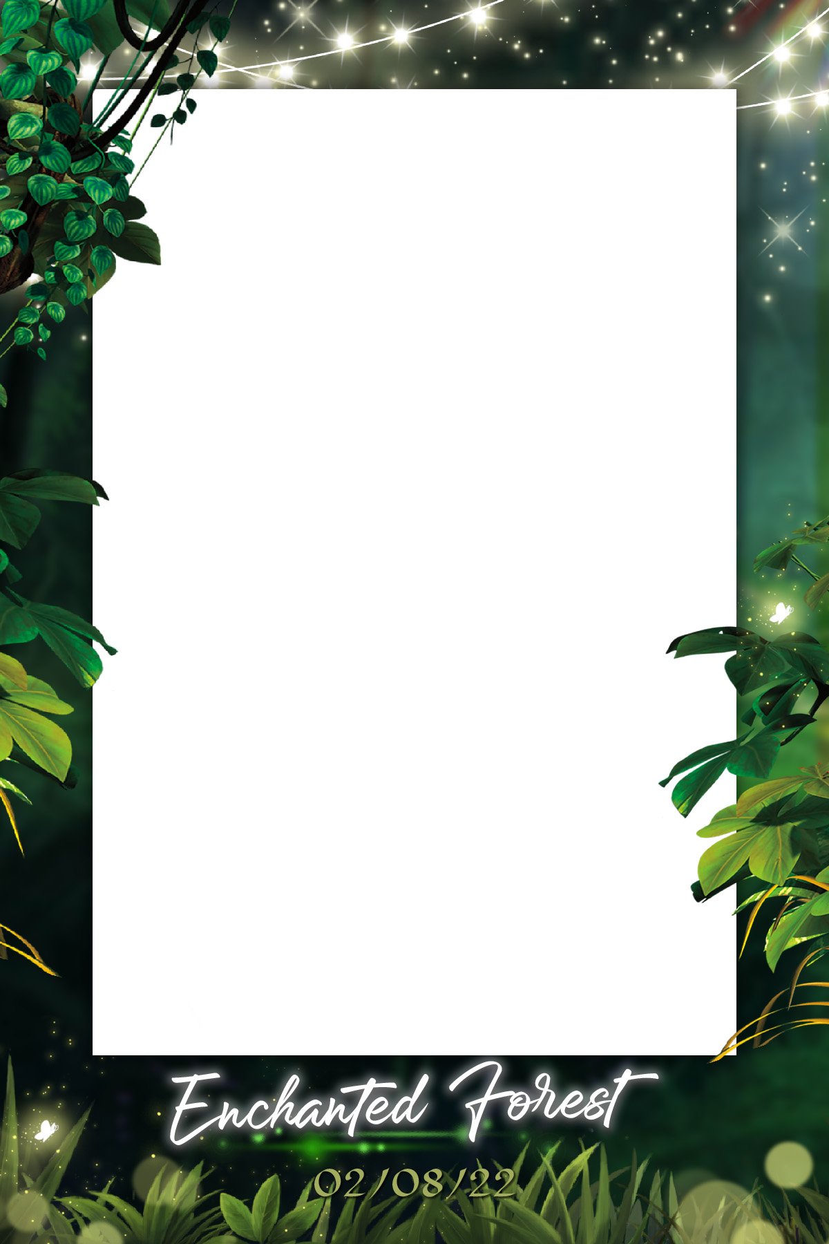 Enchanted Forest