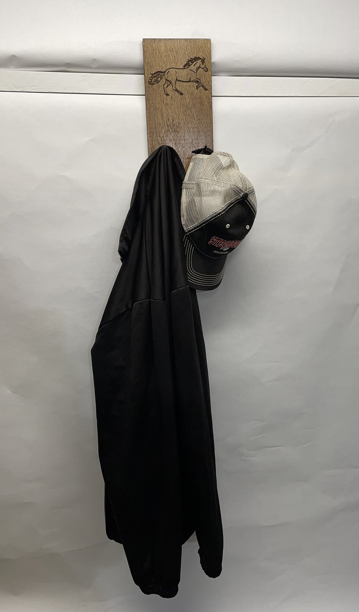 2 Hook with Coat.jpg
