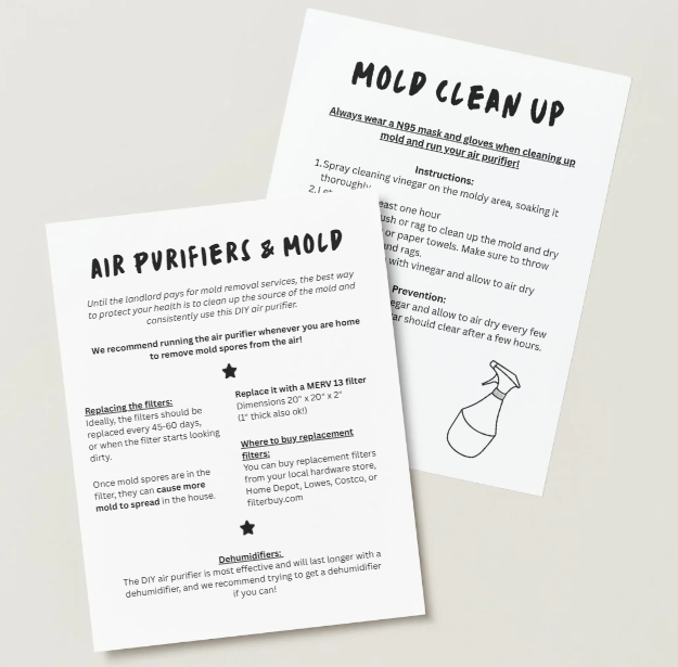 Print previews of two flyers, one about "Air Purifiers & Mold" and another about "Mold Clean Up"