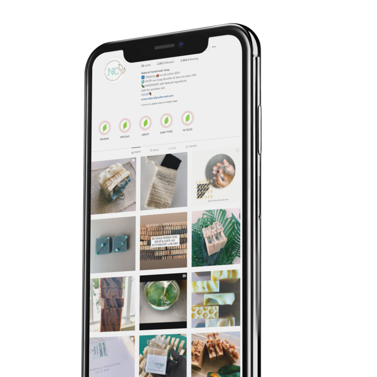 Untitled design (47).png