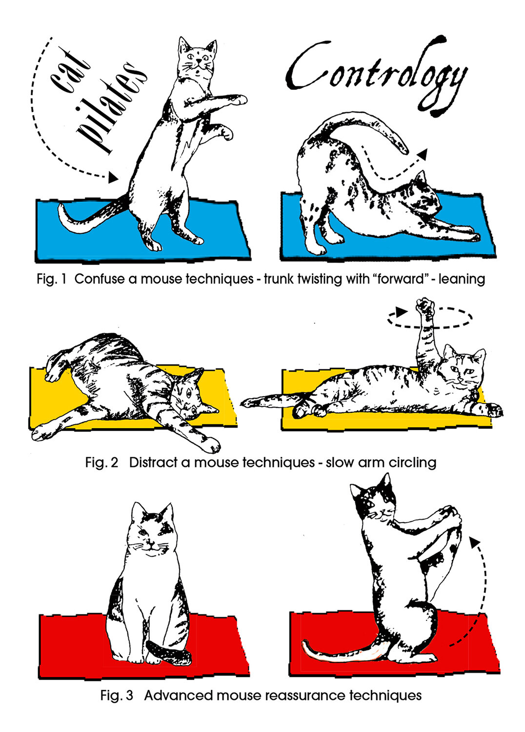 Cat Pilates