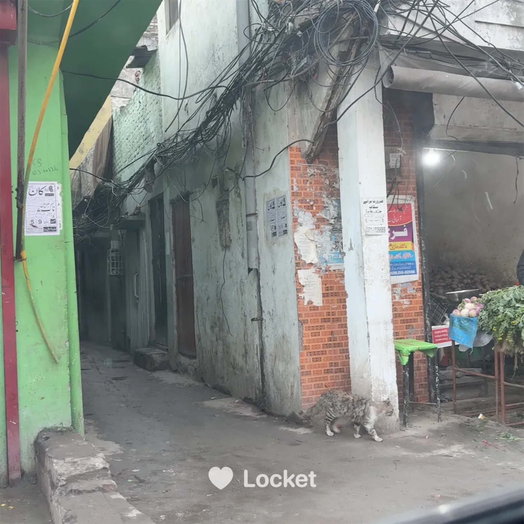 Locket from yesterday.png