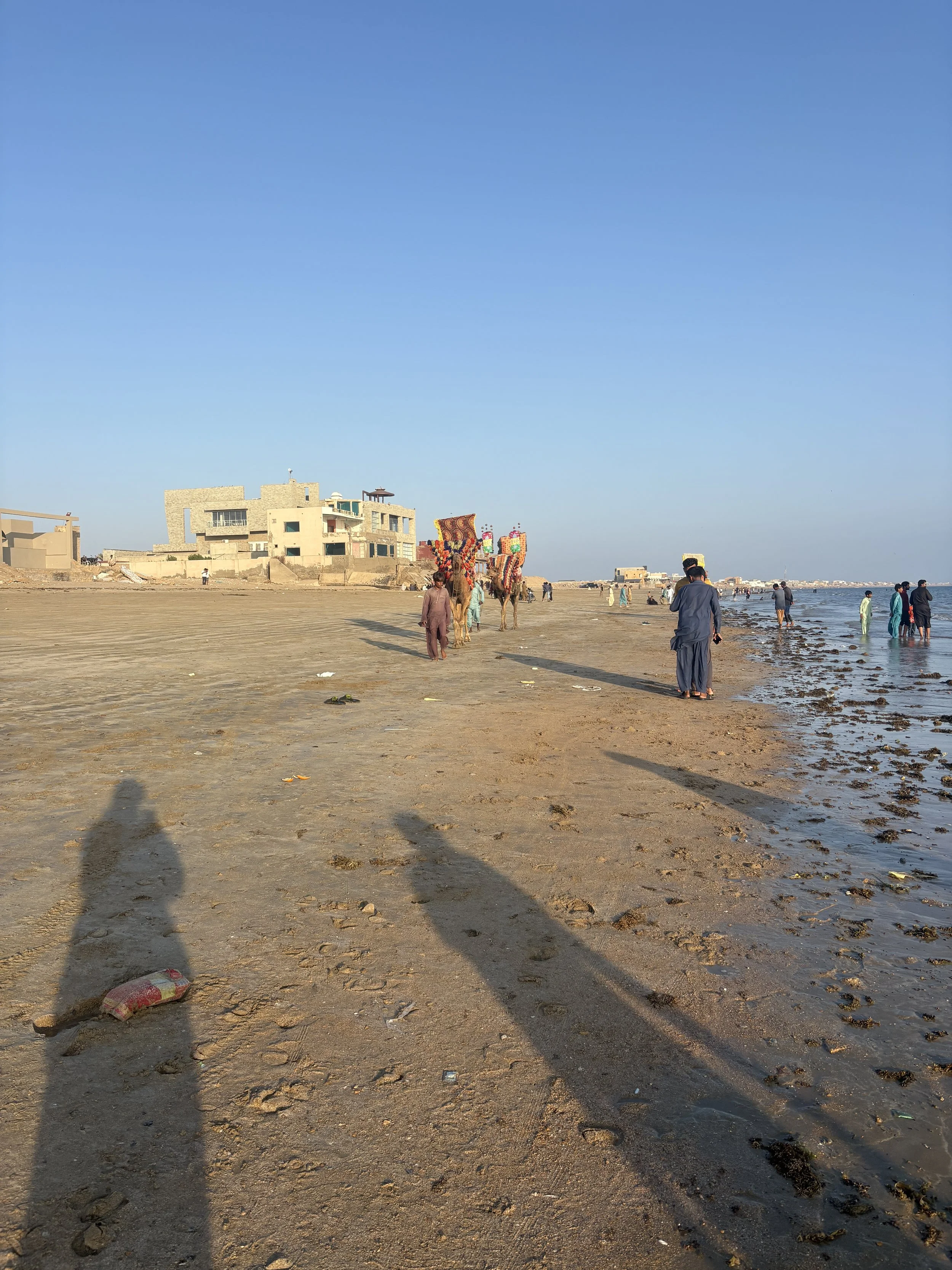 Beach fitted with camels
