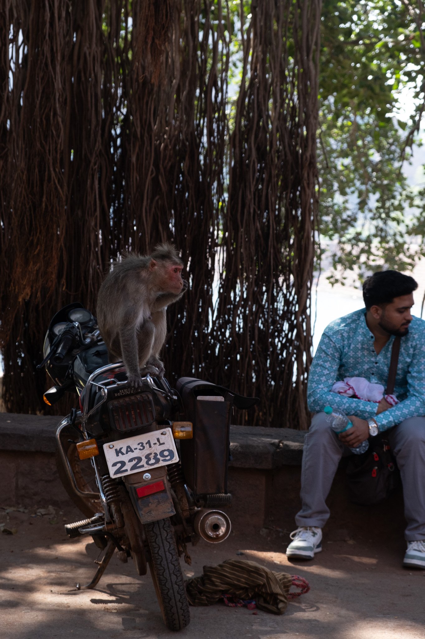 Closer to the village, monkeys become a nuisance, searching through motorcycle bags and stealing from fruit stands. In the rocks, climbers are the visitors to monkey territory.