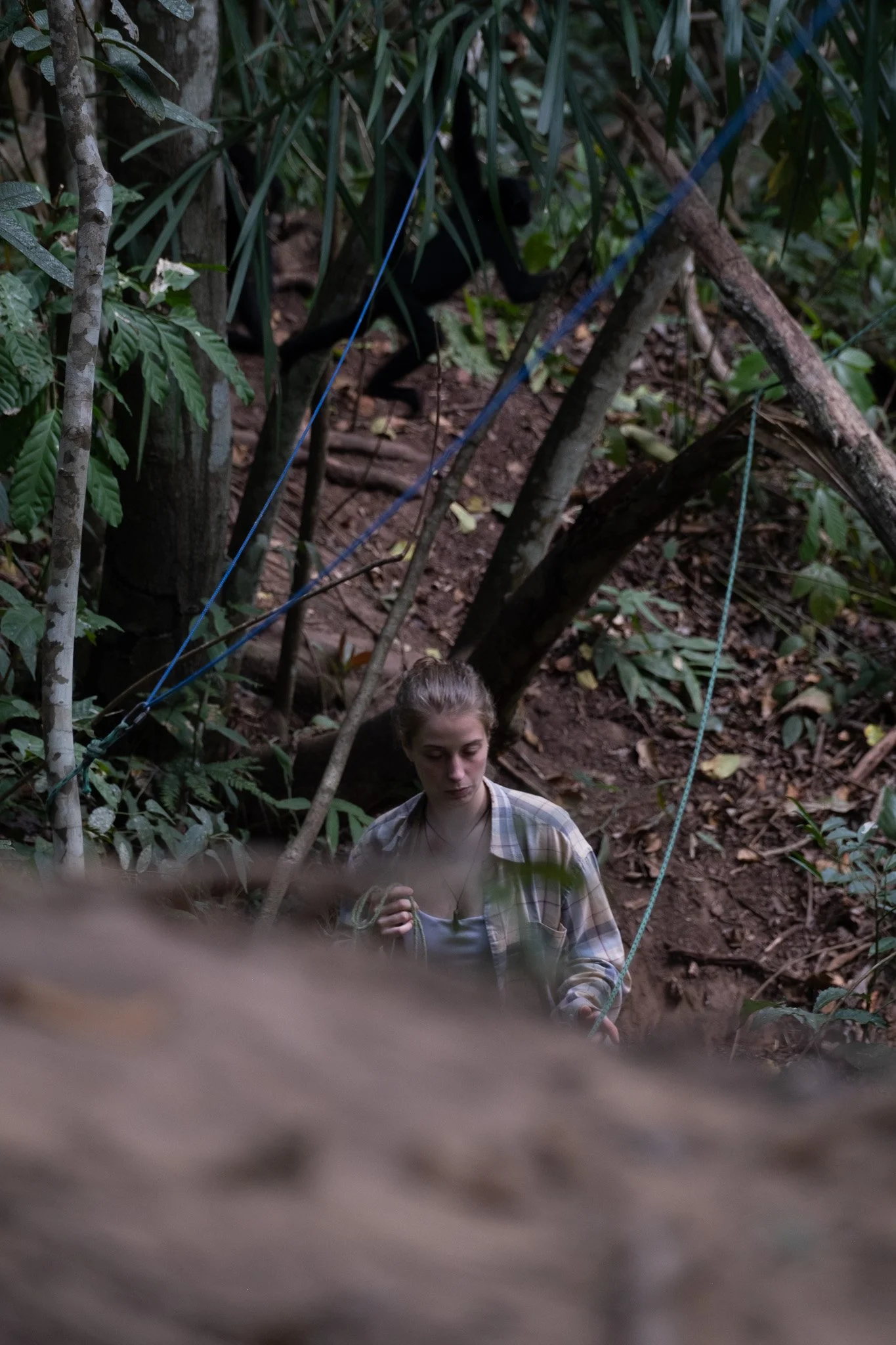 Lara walks through the jungle 7 hours a day, monitoring the rescued babies as they integrate with the semi-wild group.