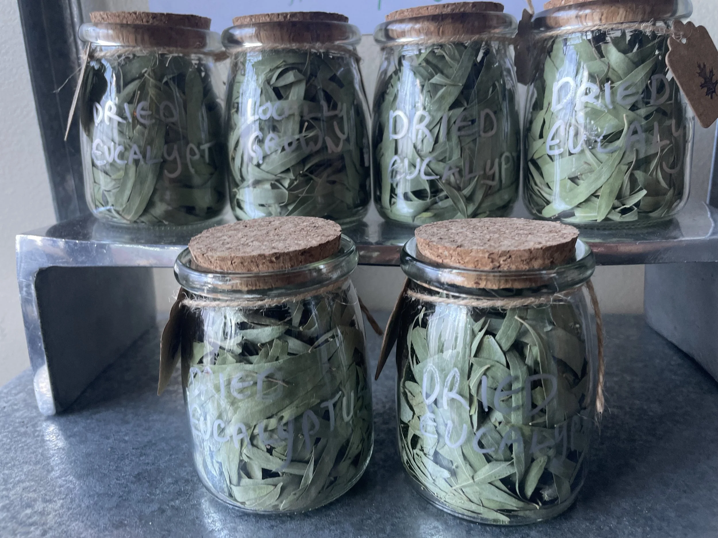 Dried Eucalyptus — Elk Rock Yoga