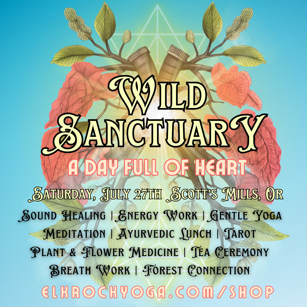 3rd Annual Wild Sanctuary