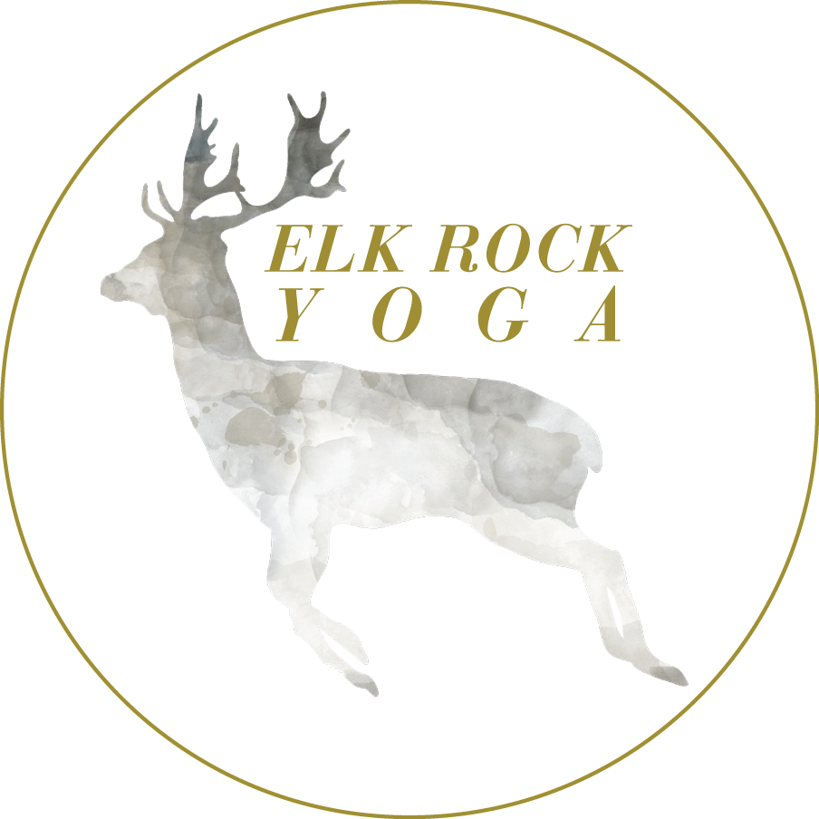 Go Steady 3.0 Mat Carrier — Elk Rock Yoga