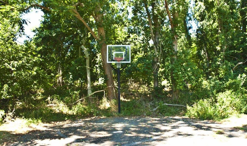 Basketball Hoop