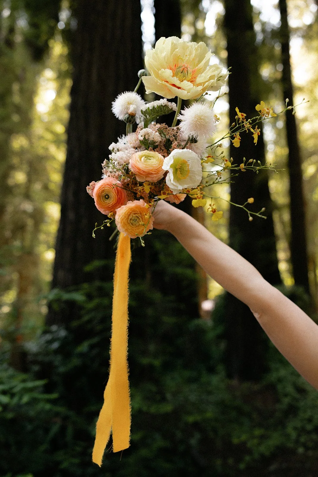 Wedding_ Lake Tahoe Elopement Photographer_ 1215.jpg