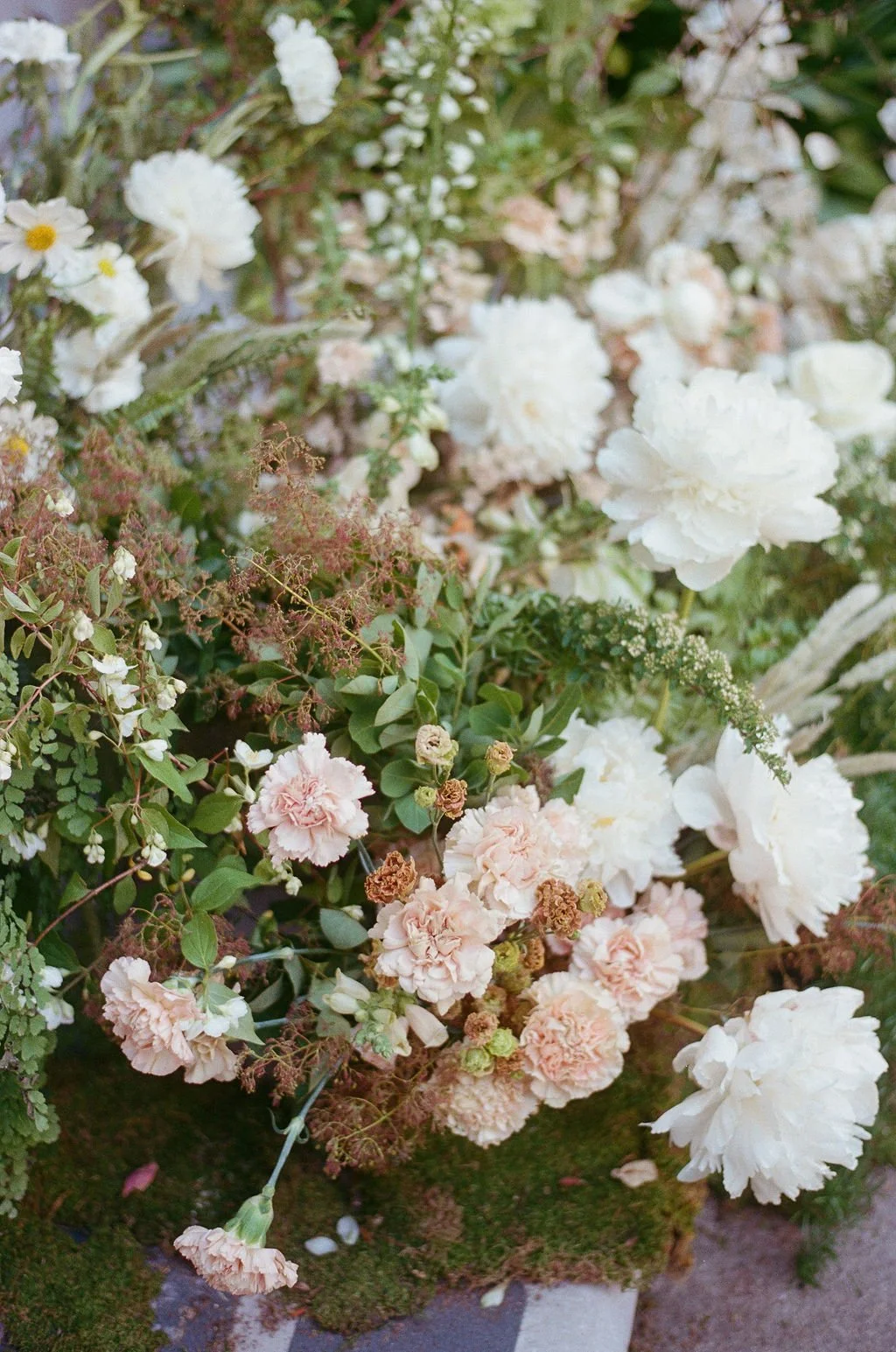 Clare&_DrosteFilm-27.jpg