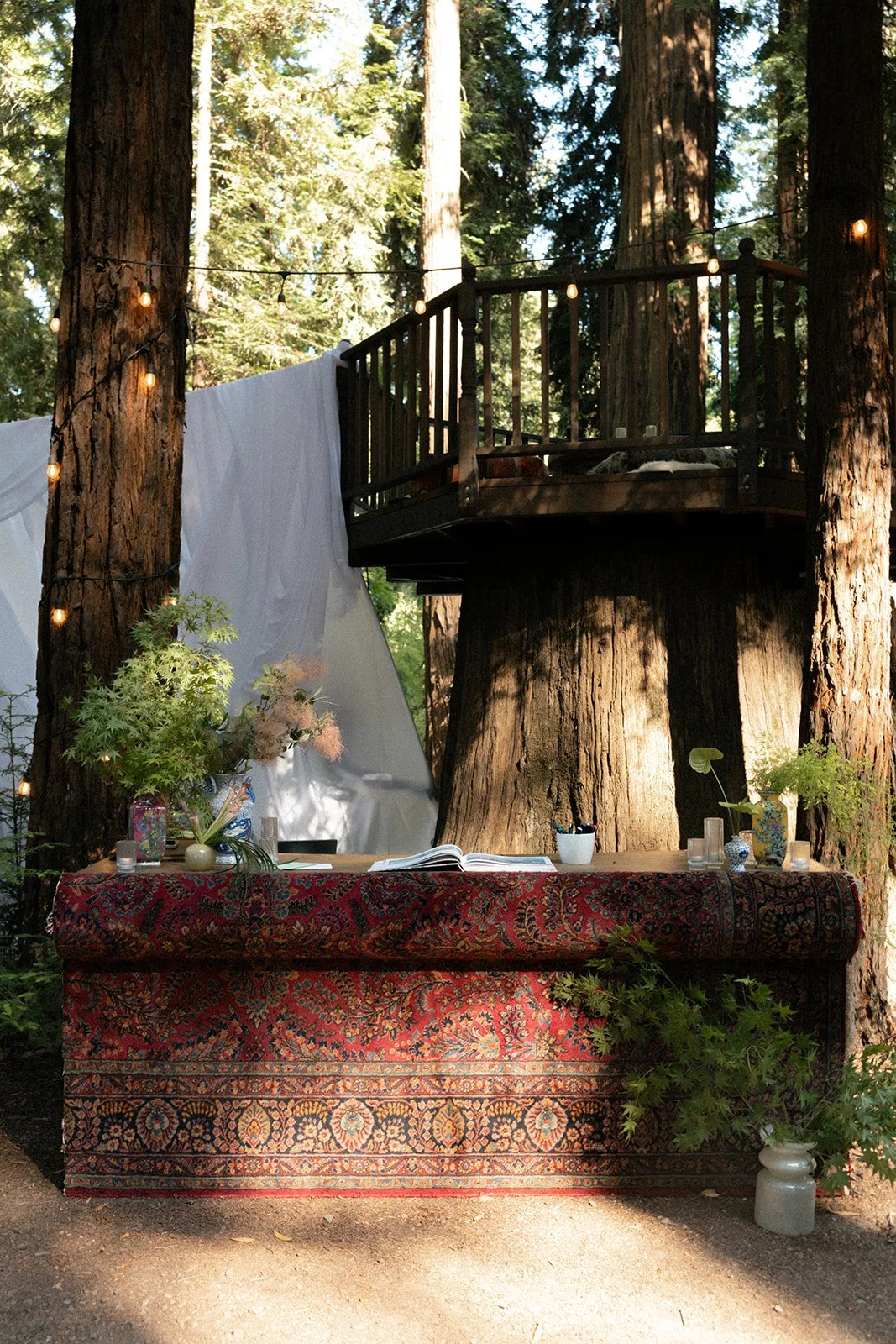 Wedding_ Lake Tahoe Elopement Photographer_ 2566.jpg