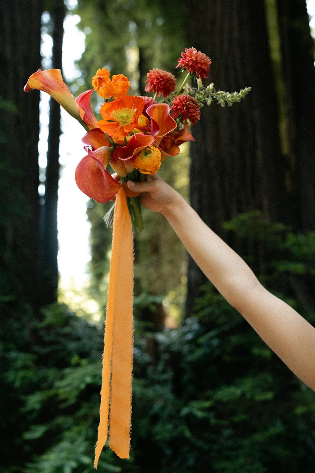 Wedding_ Lake Tahoe Elopement Photographer_ 1271.jpg
