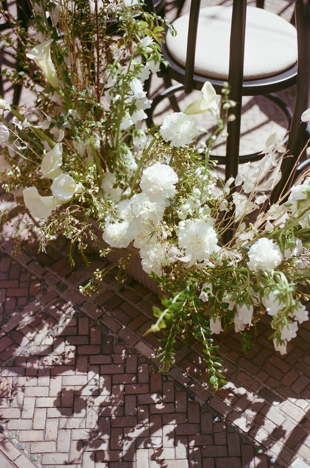 Clare&_DrosteFilm-33.jpg