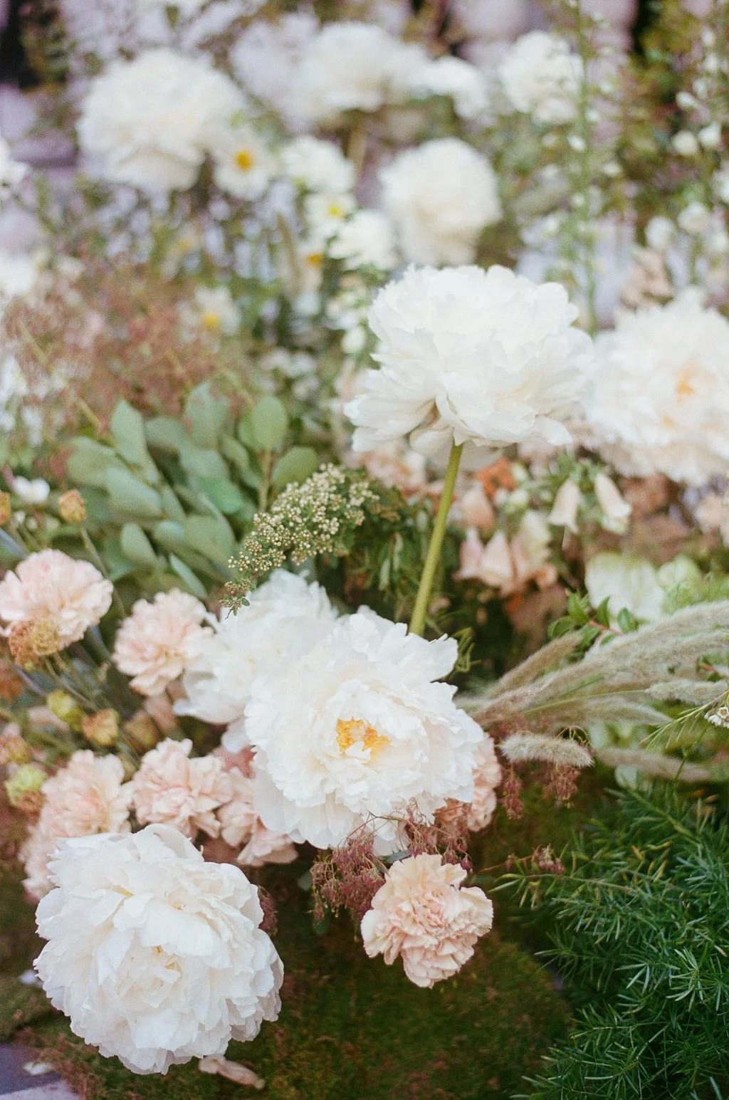 Clare&_DrosteFilm-26.jpg