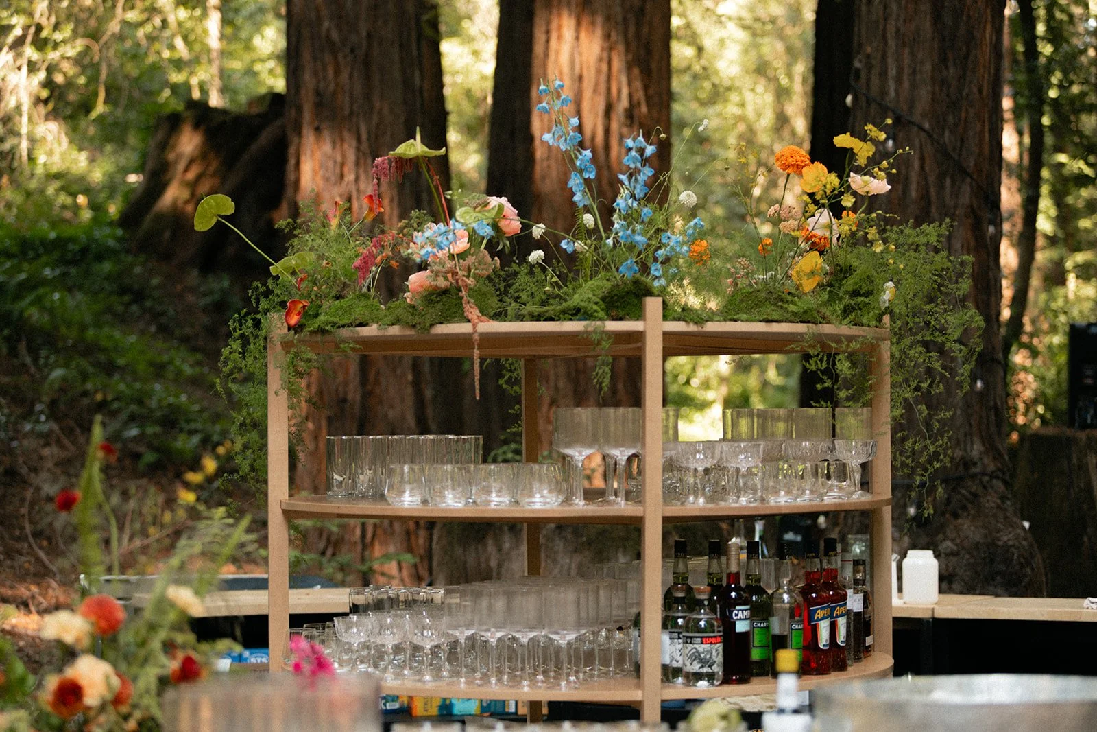 Wedding_ Lake Tahoe Elopement Photographer_ 1913.jpg
