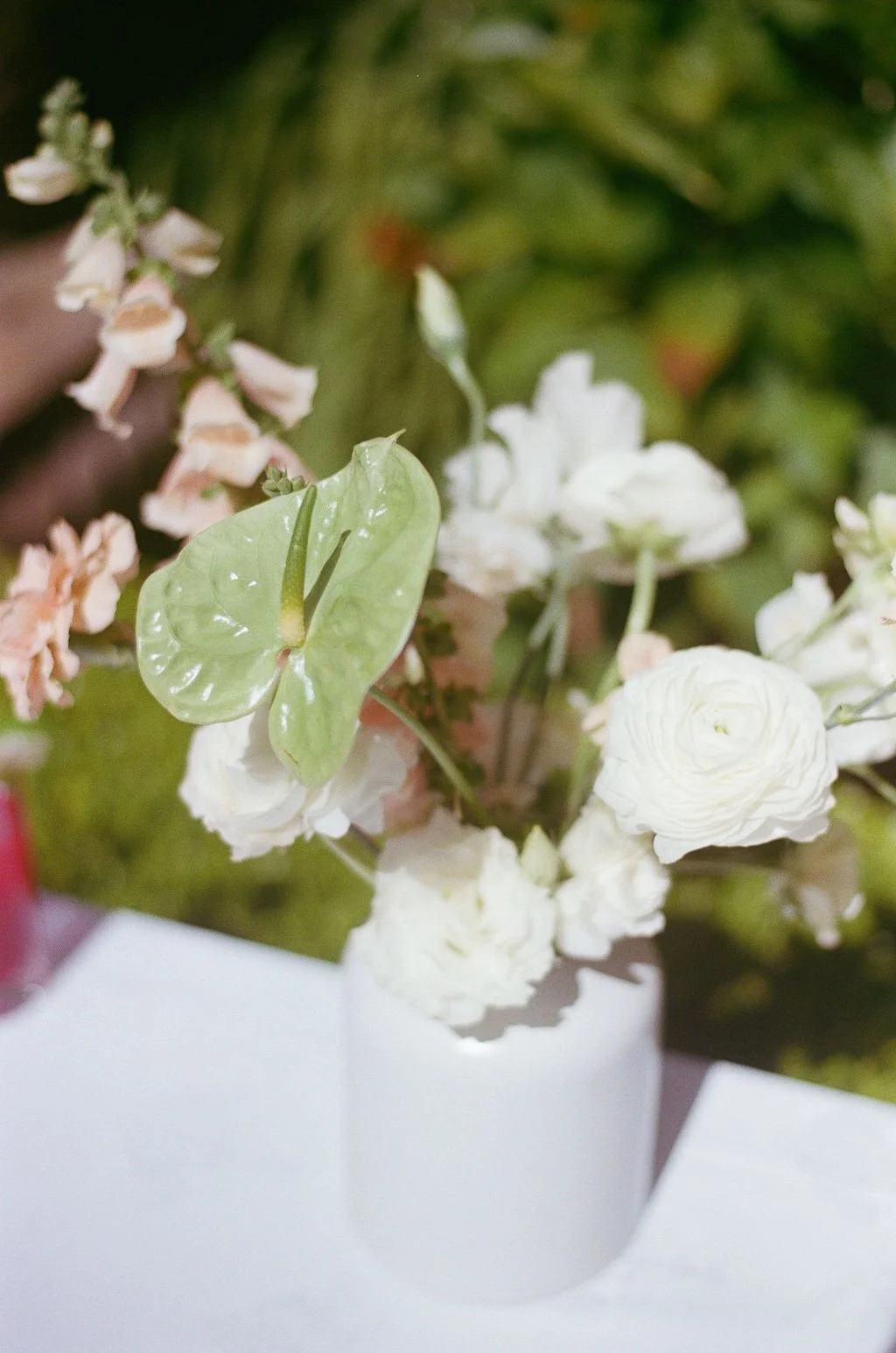 Clare&_DrosteFilm-13.jpg