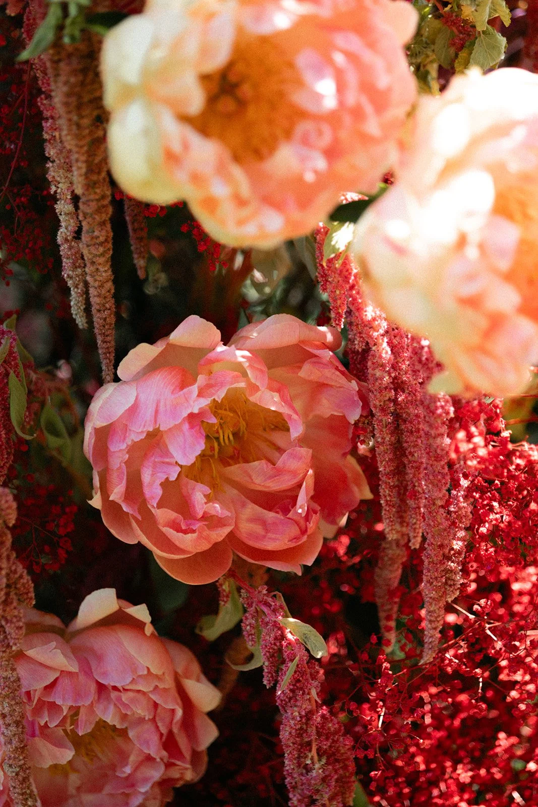 E + R // The Brambles Wedding in Philo, CA