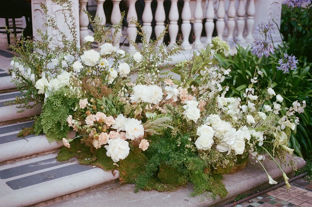 Clare&_DrosteFilm-05.jpg