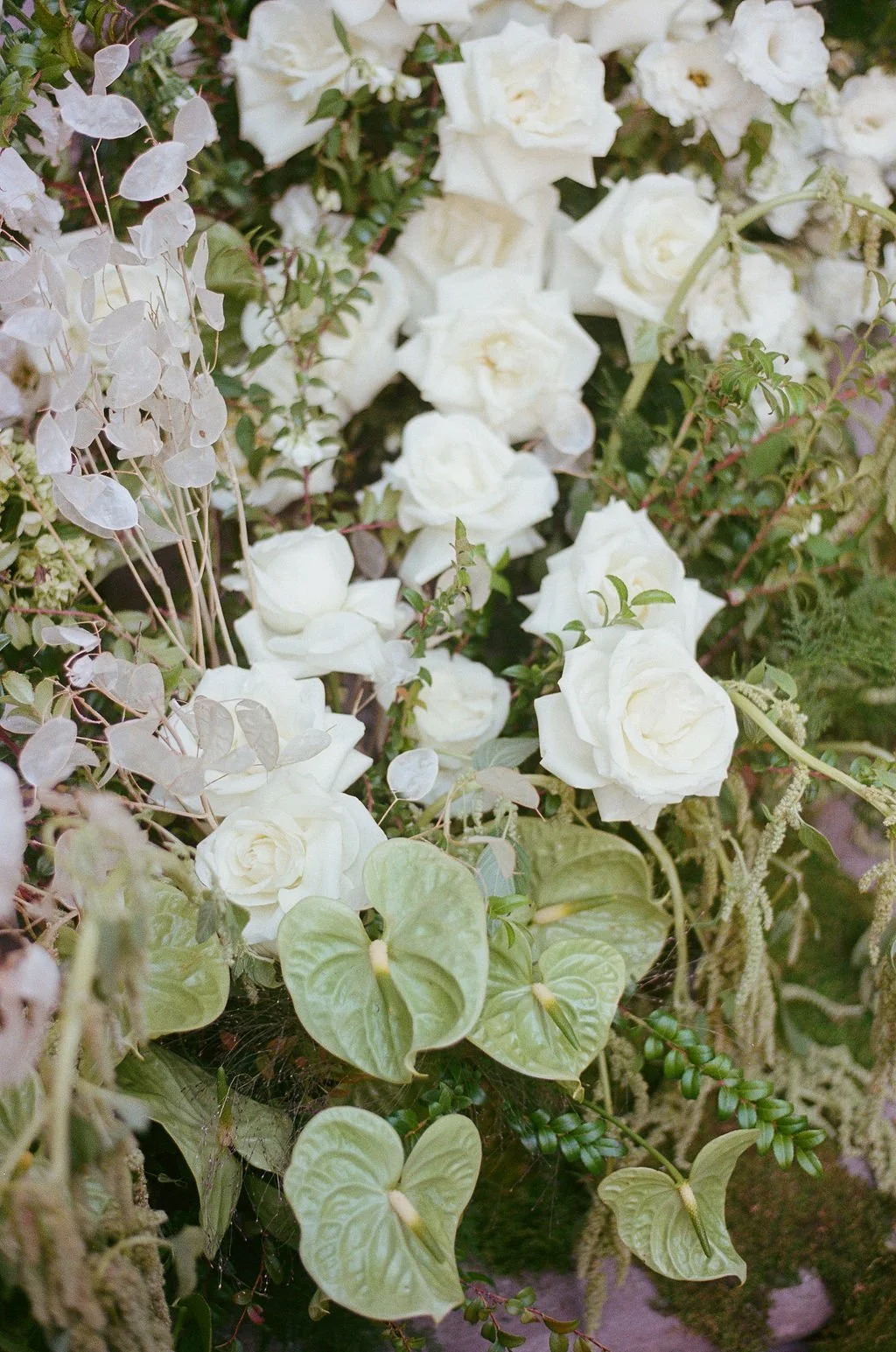 Clare&_DrosteFilm-28.jpg
