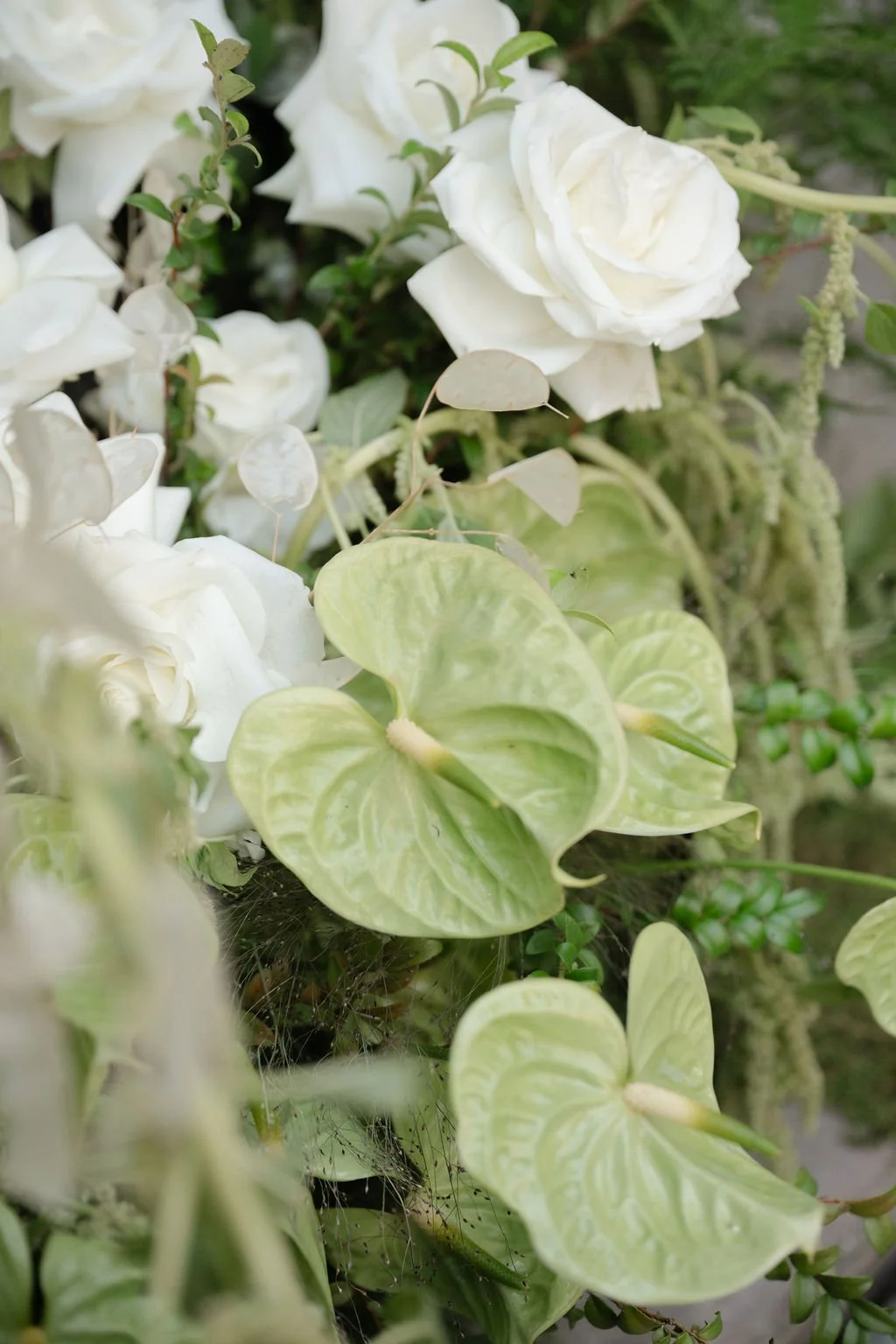 Clare&_DrosteWedding-390.jpg