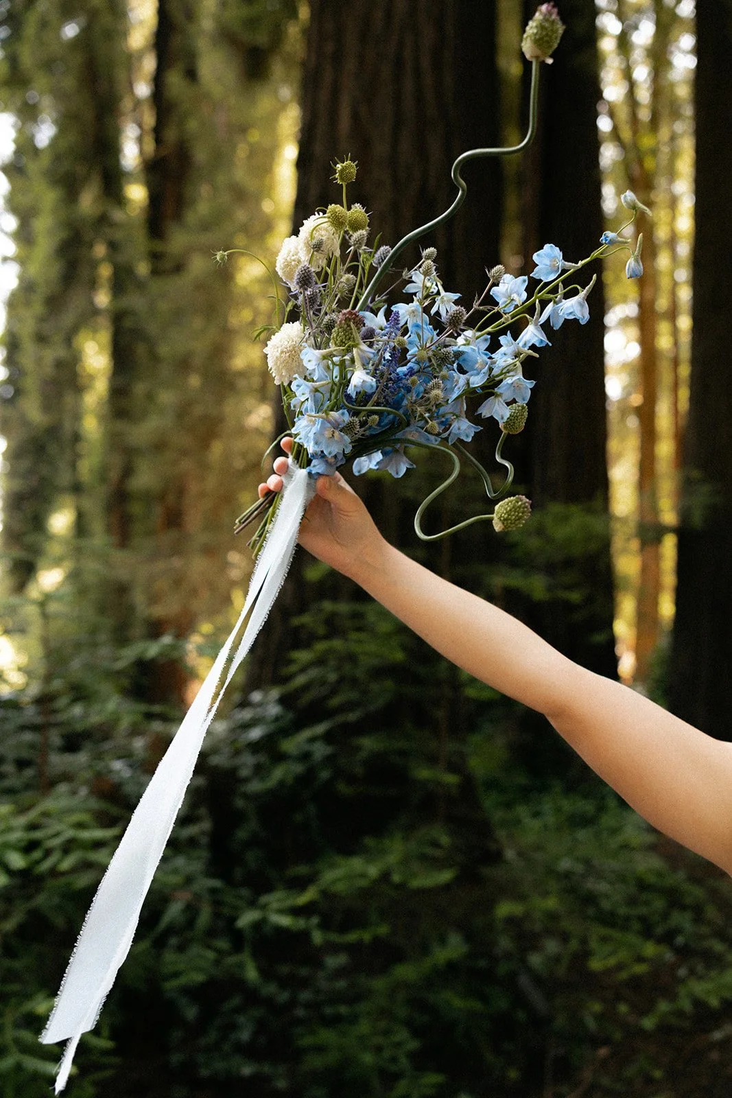 Wedding_ Lake Tahoe Elopement Photographer_ 1263.jpg