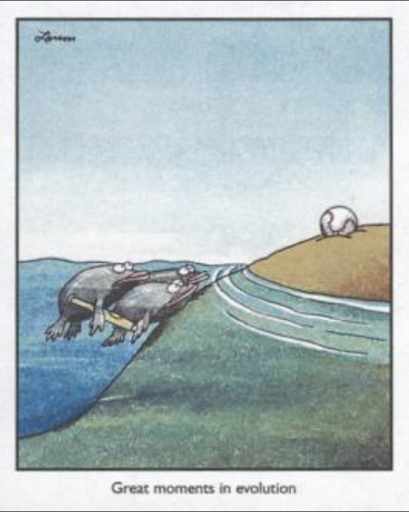 farsidethisweek.png
