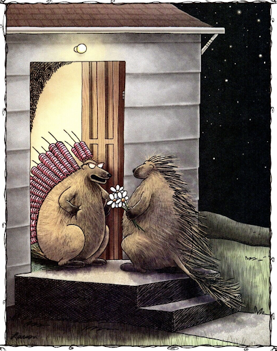 farsideporcupine.png
